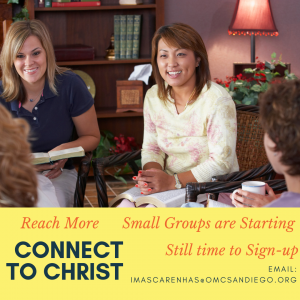Sign up for Small Groups this week!