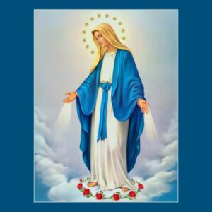 The Solemnity of the Immaculate Conception of the Blessed Virgin Mary MASS TIMES