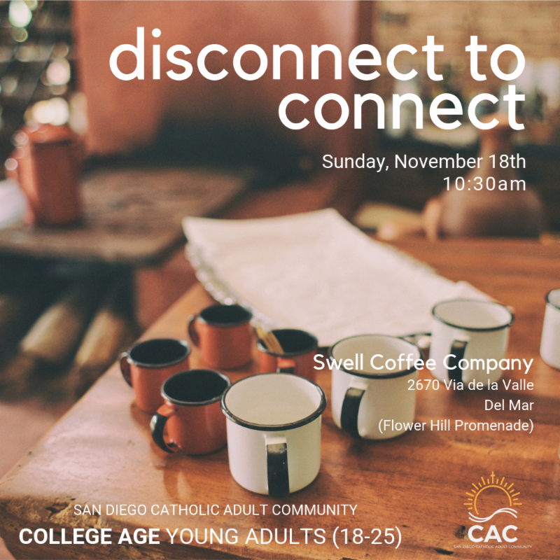 college-age-catholics-social-disconnect-to-connect-our-mother-of