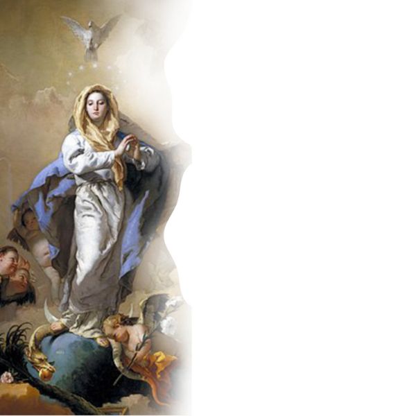 The Solemnity of the Immaculate Conception of the Blessed Virgin Mary VIGIL MASS