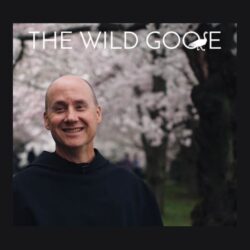 WEDNESDAYS in October – The Wild Goose
